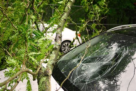 Anmeld skade på bil